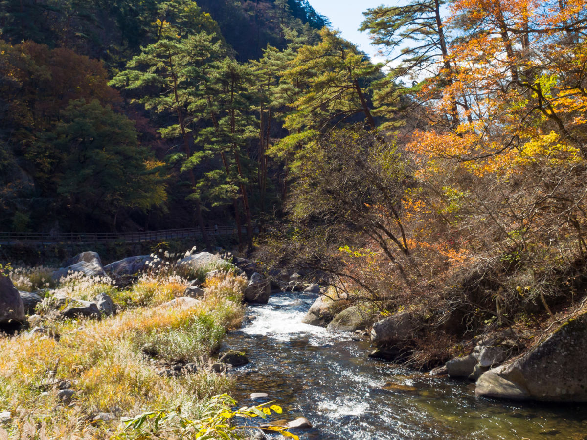 Mt. Mitake, Japan